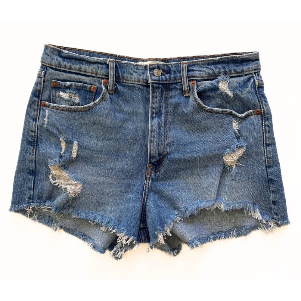 Abercrombie & Fitch High Rise Mom Shorts Size 31